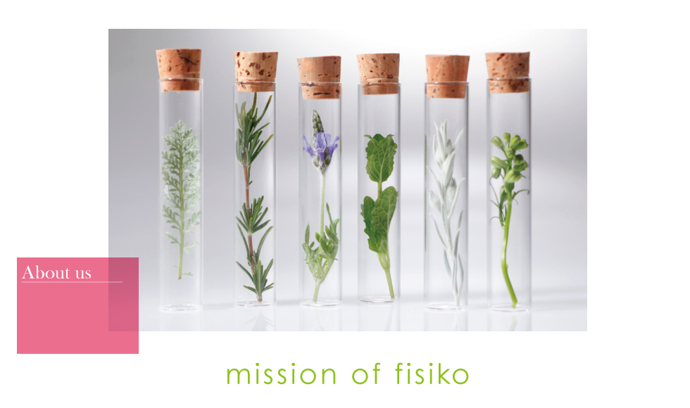 mission of fisiko